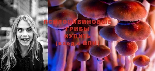 дживик Алзамай