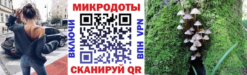 Галлюциногенные грибы ЛСД  Купить закладки  Тарко-Сале 