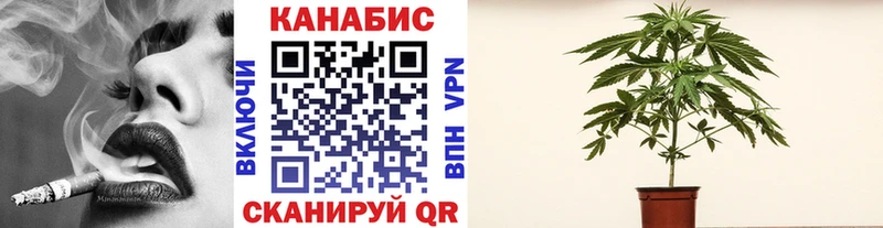 Канабис White Widow  Купить  Тарко-Сале 